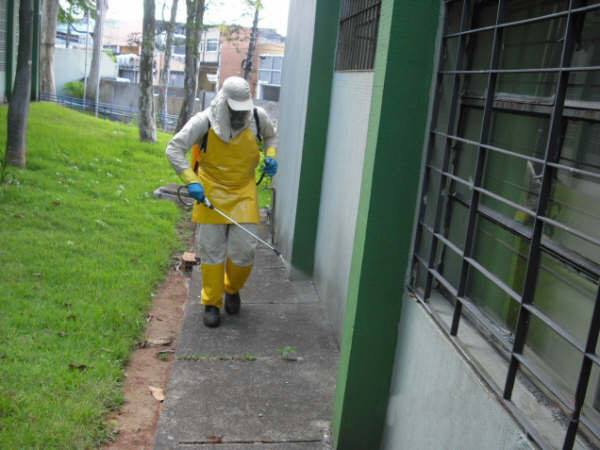 Dedetizadora de Ratos da Zona Leste Porto Alegre